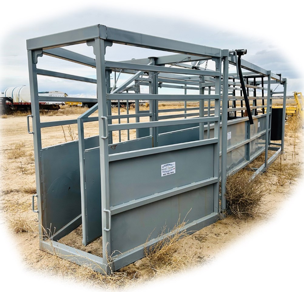 RR 19' Twin Alley for Cattle